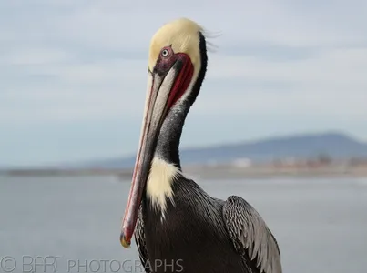San Diego - Oceanside-1