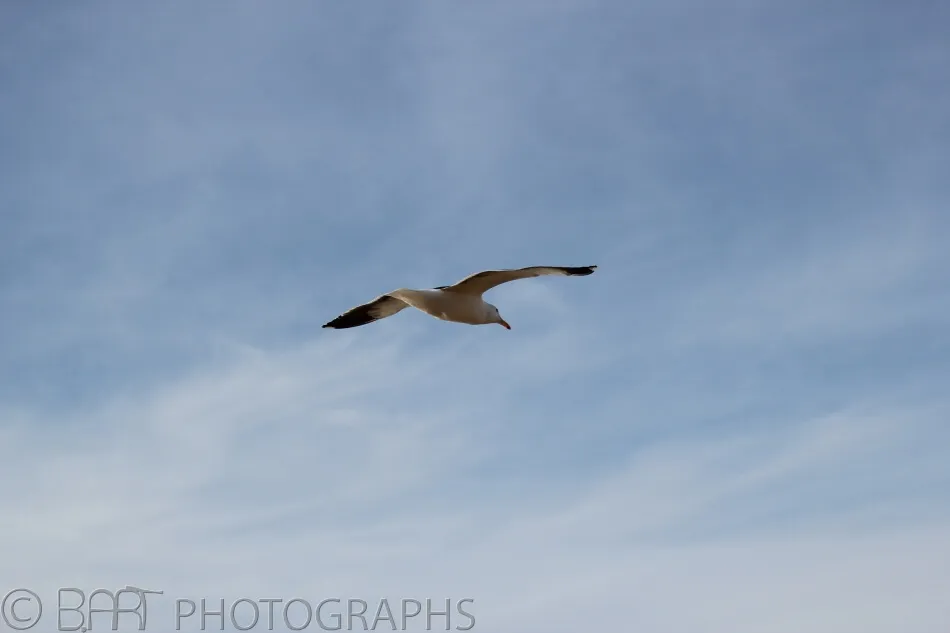 San Diego - Sunset Cliffs-3