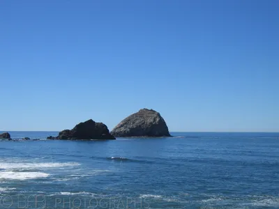 Oregon & California - Coos bay & Redwood National Park-6
