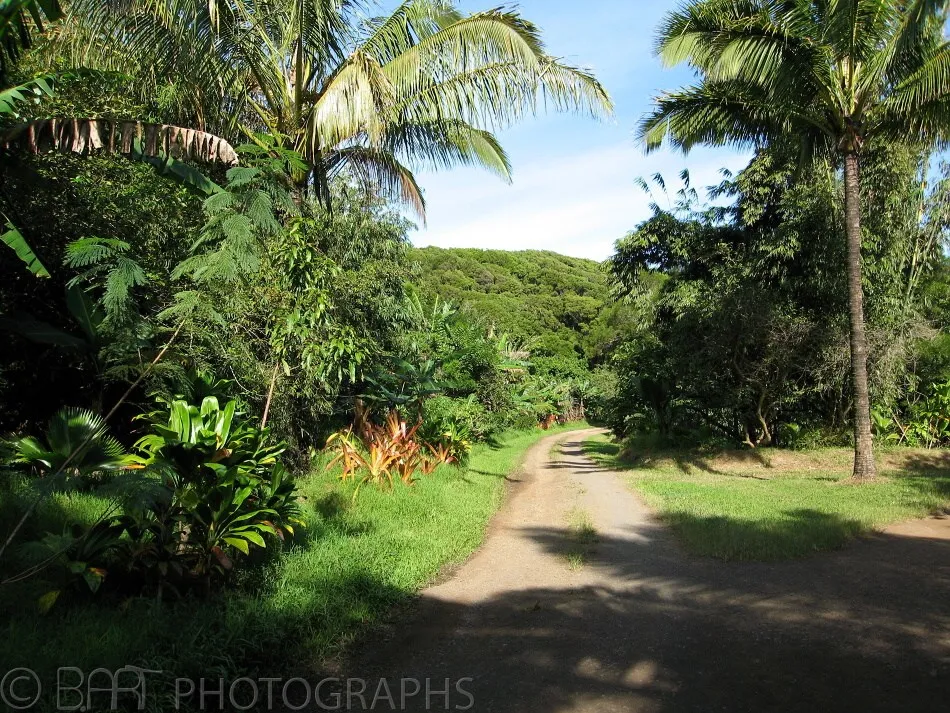 Hawaii - Maui-1