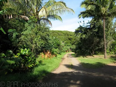 Hawaii - Maui-1