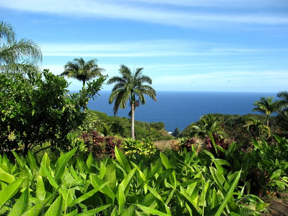 Hawaii - Maui-2