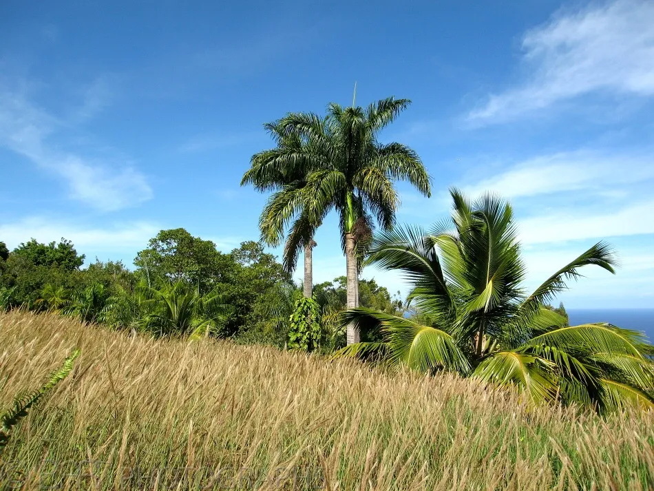 Hawaii - Maui-3