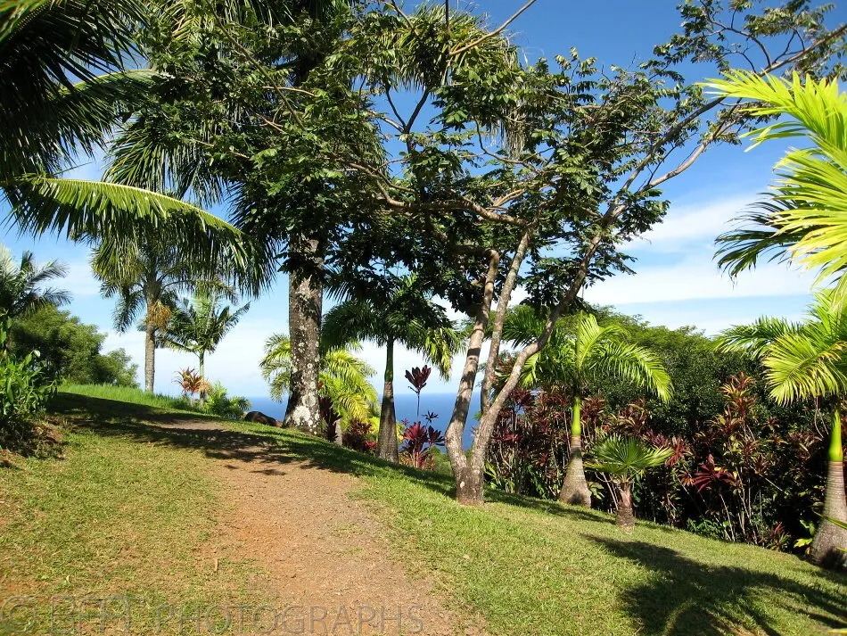 Hawaii - Maui-5