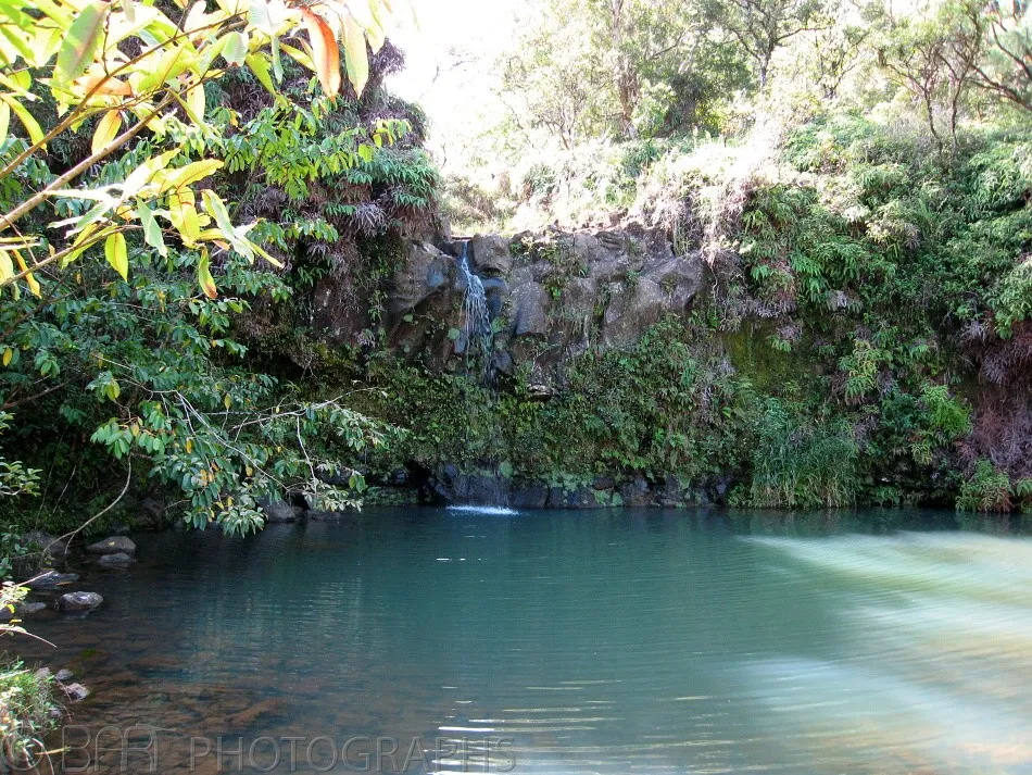 Hawaii - Maui-8