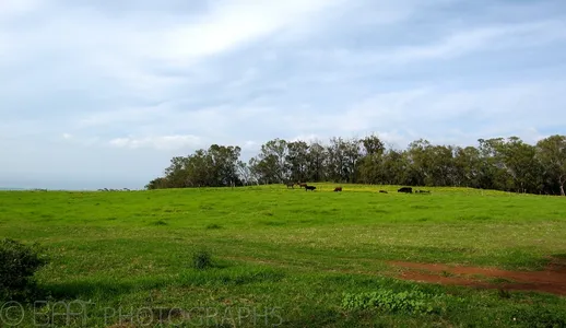 Hawaii - Maui-12