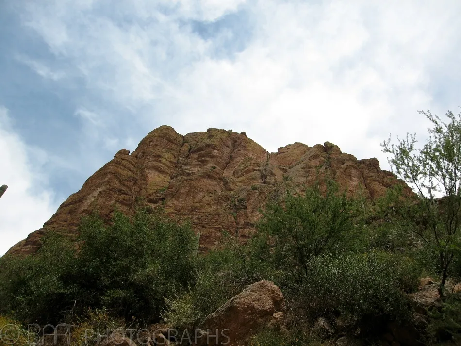 Arizona - Phoenix-11