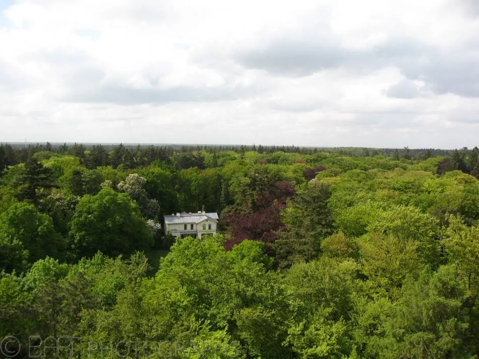 Haarlem & Arnhem-3
