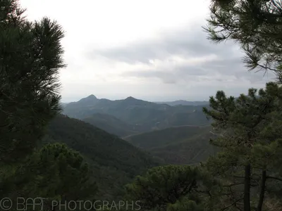 Andalucia - Ronda, Malaga-6