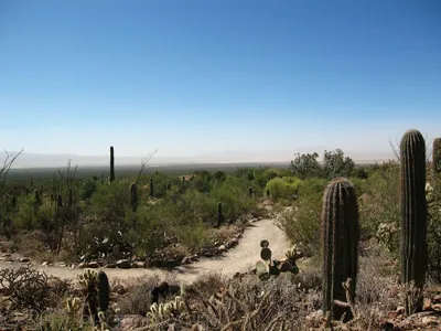 Arizona, Tucson-2