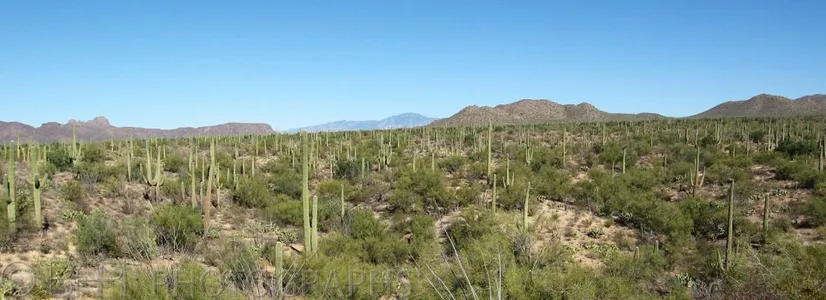 Arizona, Tucson-6