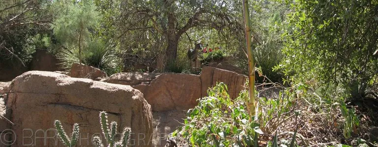 Arizona, Tucson-9