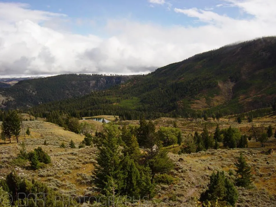 Montana - Yellowstone-1