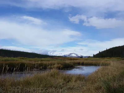 Montana - Yellowstone-4